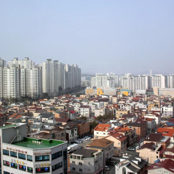 프리미엄 소담아지트 테라피 안내 이미지