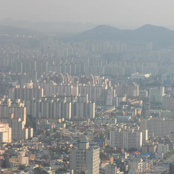 프리미엄 레드존하우스 홈타이 안내 이미지