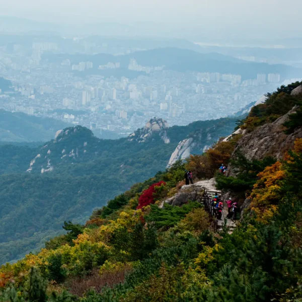 아로마 은서릴렉스 테라피 안내 이미지